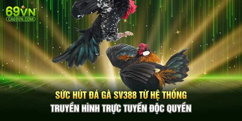 Sức hút đá gà SV388 từ hệ thống truyền hình trực tuyến độc quyền